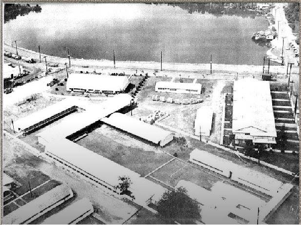 The school grounds in 1956