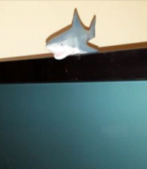 TV Shark